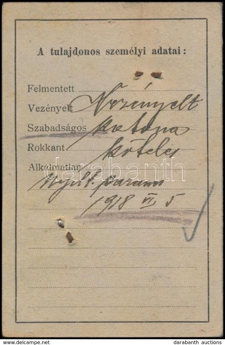 1918 Ganz és Társa - Danubius Rt. Hajógyár által Kiállított Fényképes Igazolvány - Unclassified