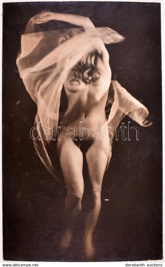 1984 Művész Akt, Jelzés Nélküli Fotóművészeti Alkotás, Kartonon, Hátoldalon Feliratozva, Sérüléssel, 55×33 Cm - Other & Unclassified