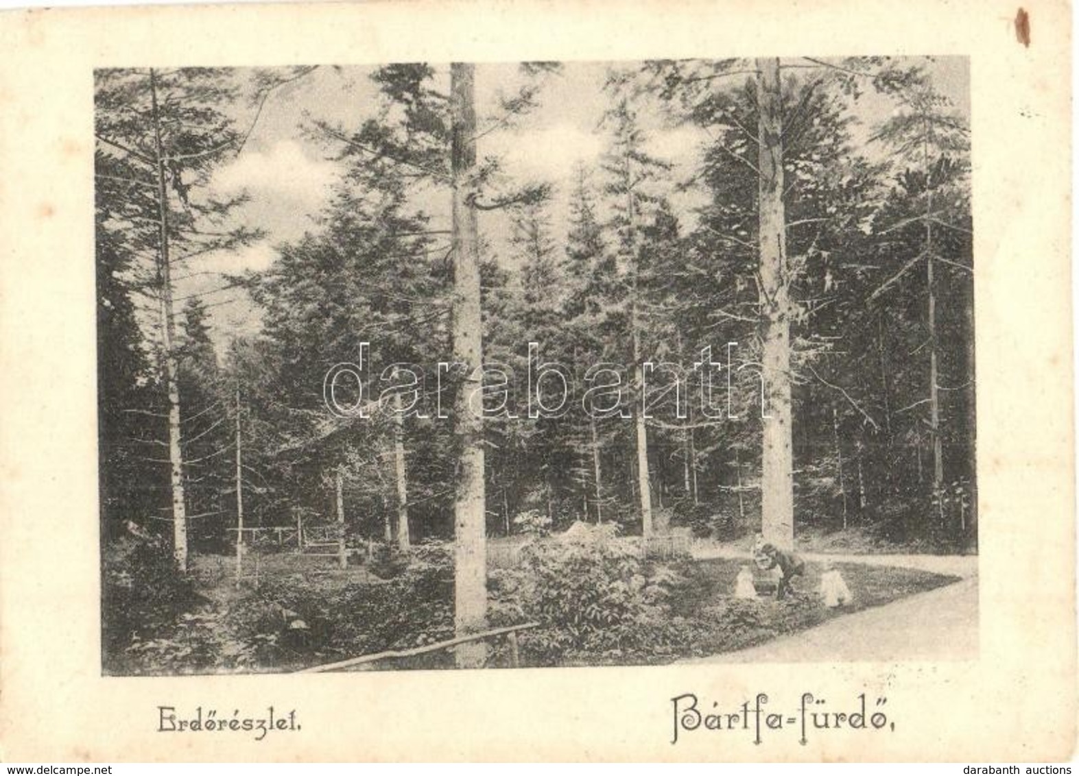 T4 Bártfa, Bártfafürdő, Bardejovské Kúpele, Bardiov;  Erdő, út / Forest, Road (vágott / Cut) - Unclassified