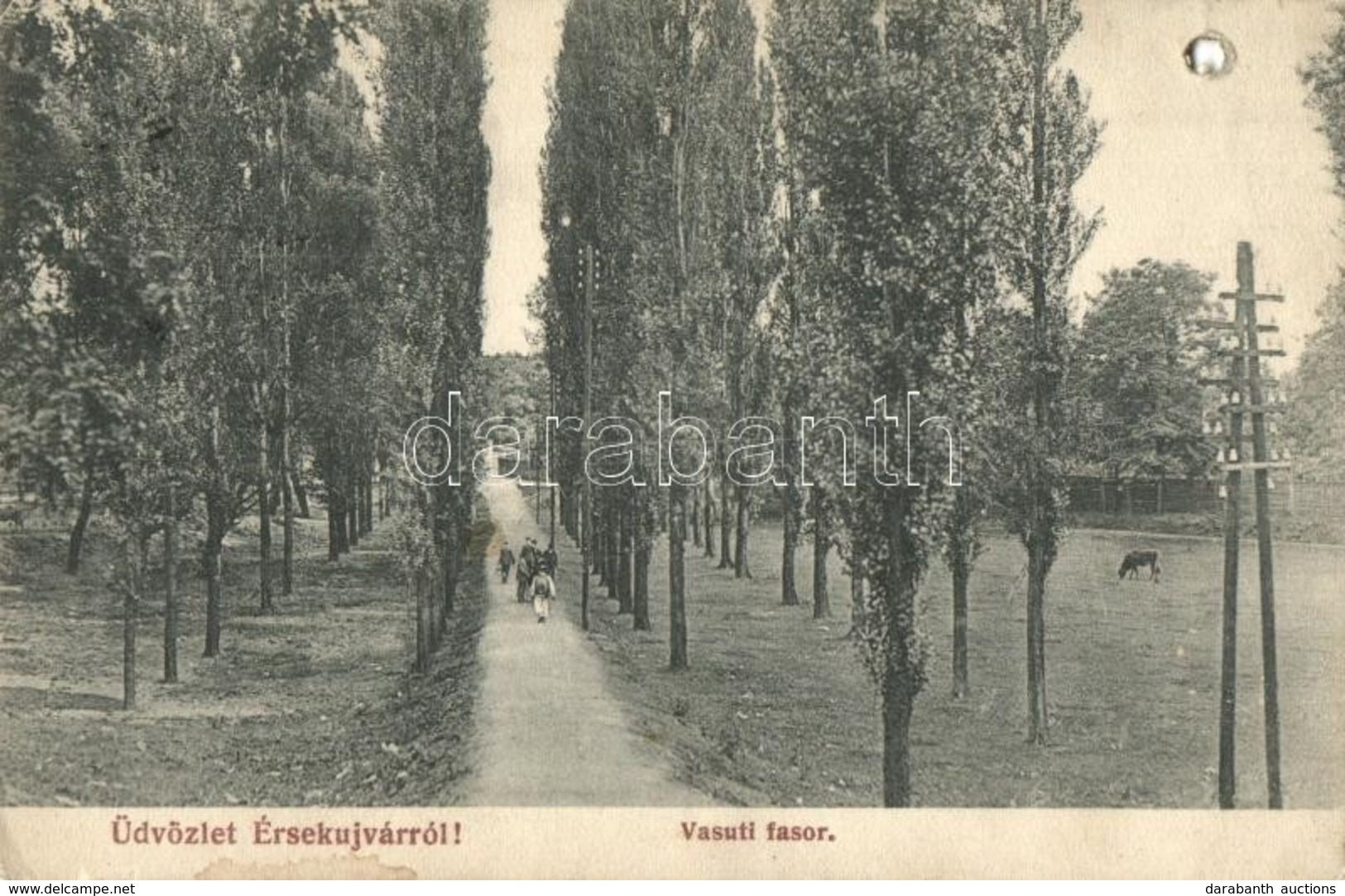 T4 Érsekújvár, Nové Zámky; Vasúti Fasor / Road To The Railway Station  (lyuk / Hole) - Unclassified