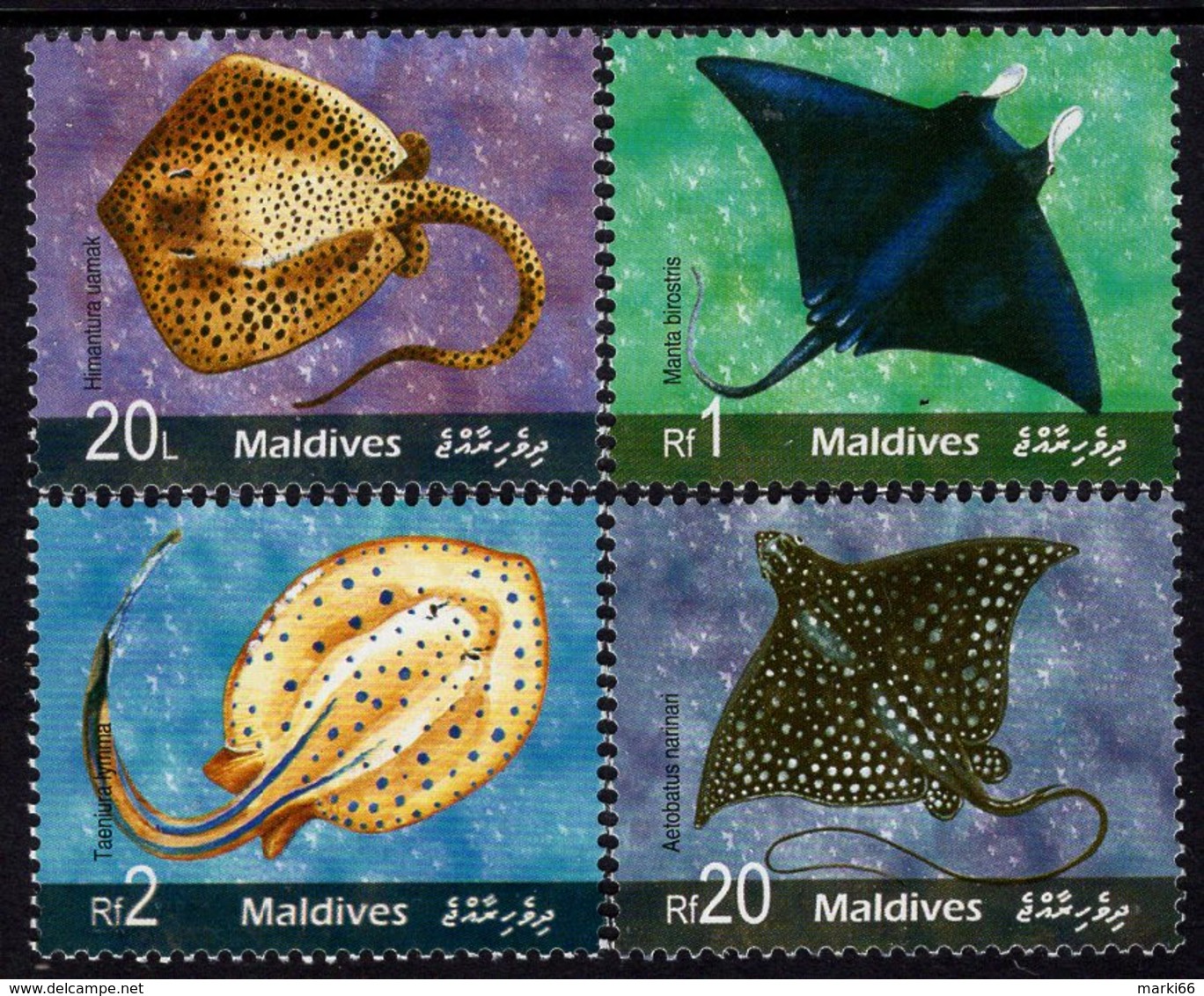 Maldives - 2006 - Rays Of Maldives - Mint Stamp Set - Maldives (1965-...)