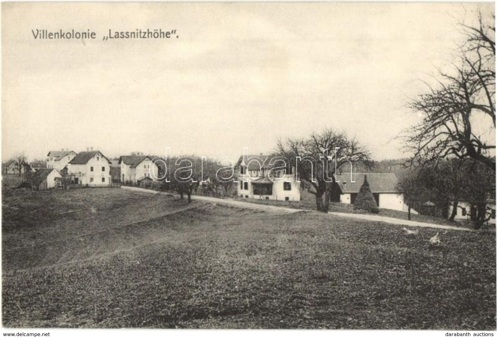** T1/T2 Laßnitzhöhe, Lassnitzhöhe; Villenkolonie. Verlag Ida Mölzer, Albin Sussitz / Villa Colony - Unclassified