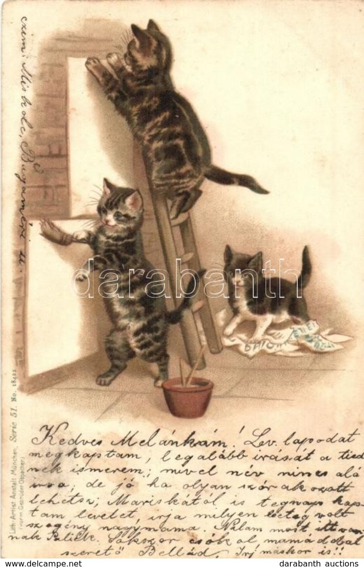 * T2/T3 1899 Wallpapering Cats. Lith-Artist. Anstalt München (vorm. Gebrüder Obpacher) Serie 51. No. 18422. Litho (Rb) - Unclassified