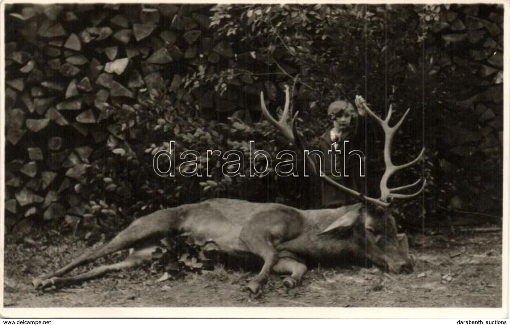 * T2 Otto Von Habsburg Next To A Hunted Stag. Photo - Unclassified