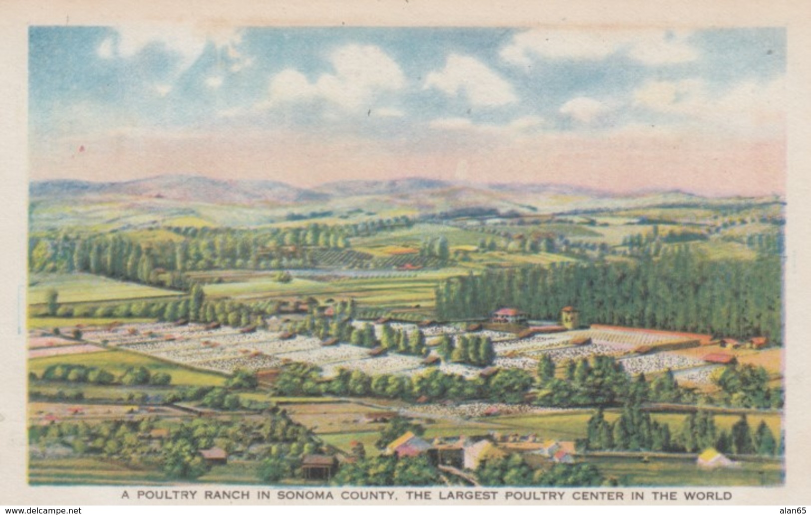 1915 Panama-Pacific Exposition, San Francisco, Sonoma County Exhibit, Poultry Farm C1910s Vintage Postcard - Exhibitions