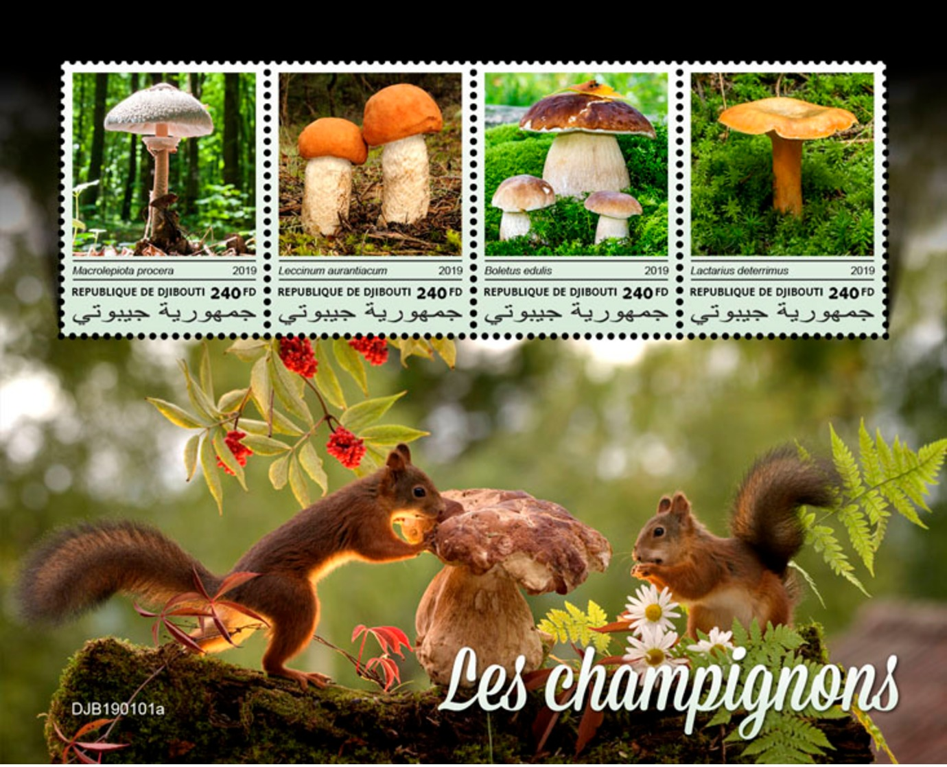 Djibouti 2019 Mushrooms Food Squirrel S/S DJB190101a - Other & Unclassified