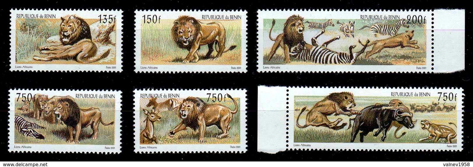 Benin 2001 Lions Hunting Complete MNH - Félins