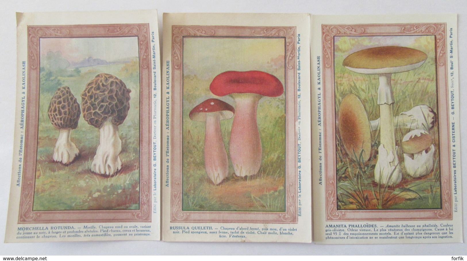 13 Images Publicitaires Thème Champignons - Kaolinase, Aérophagyl - Laboratoire G. BEYTOUT - Advertising