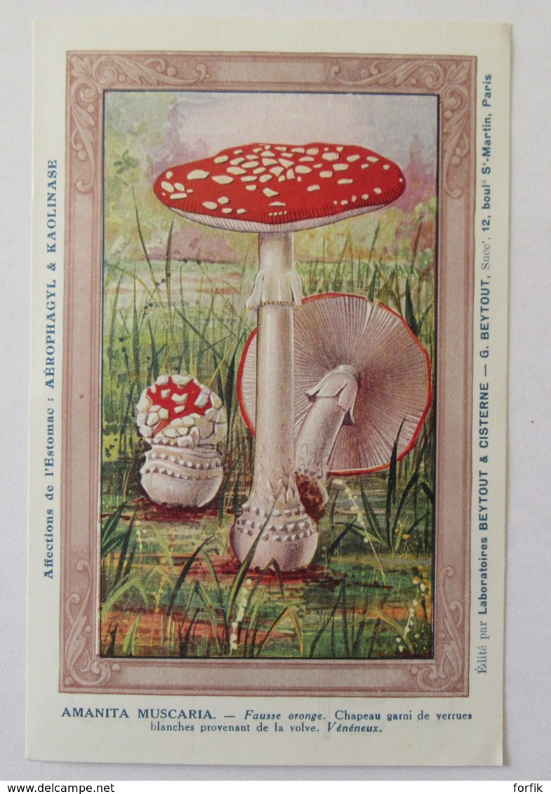 13 Images publicitaires thème Champignons - Kaolinase, Aérophagyl - Laboratoire G. BEYTOUT