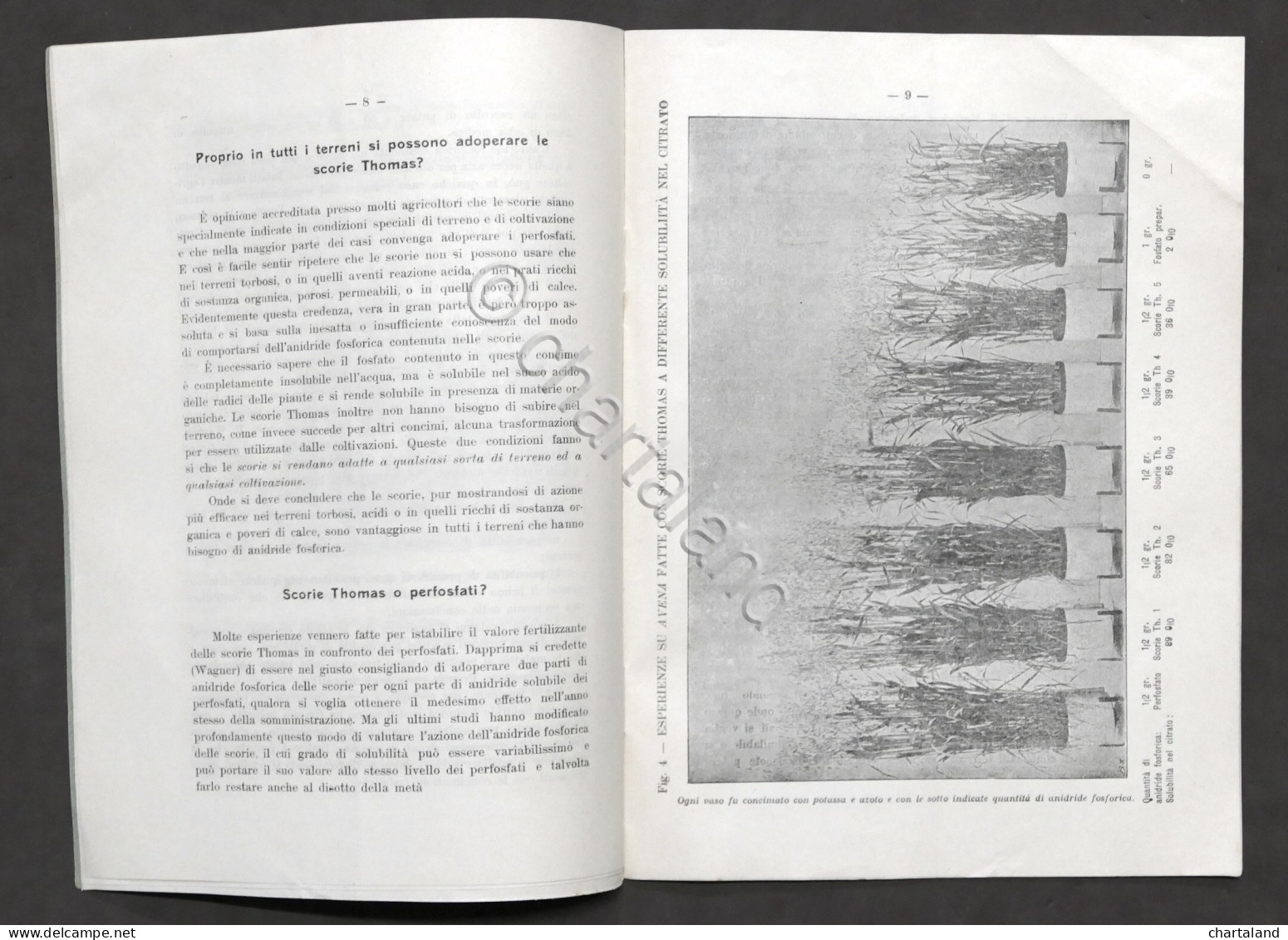 Agraria - Le Scorie Fosfatiche Thomas E Loro Impiego In Agricoltura - 1910 Ca. - Non Classificati