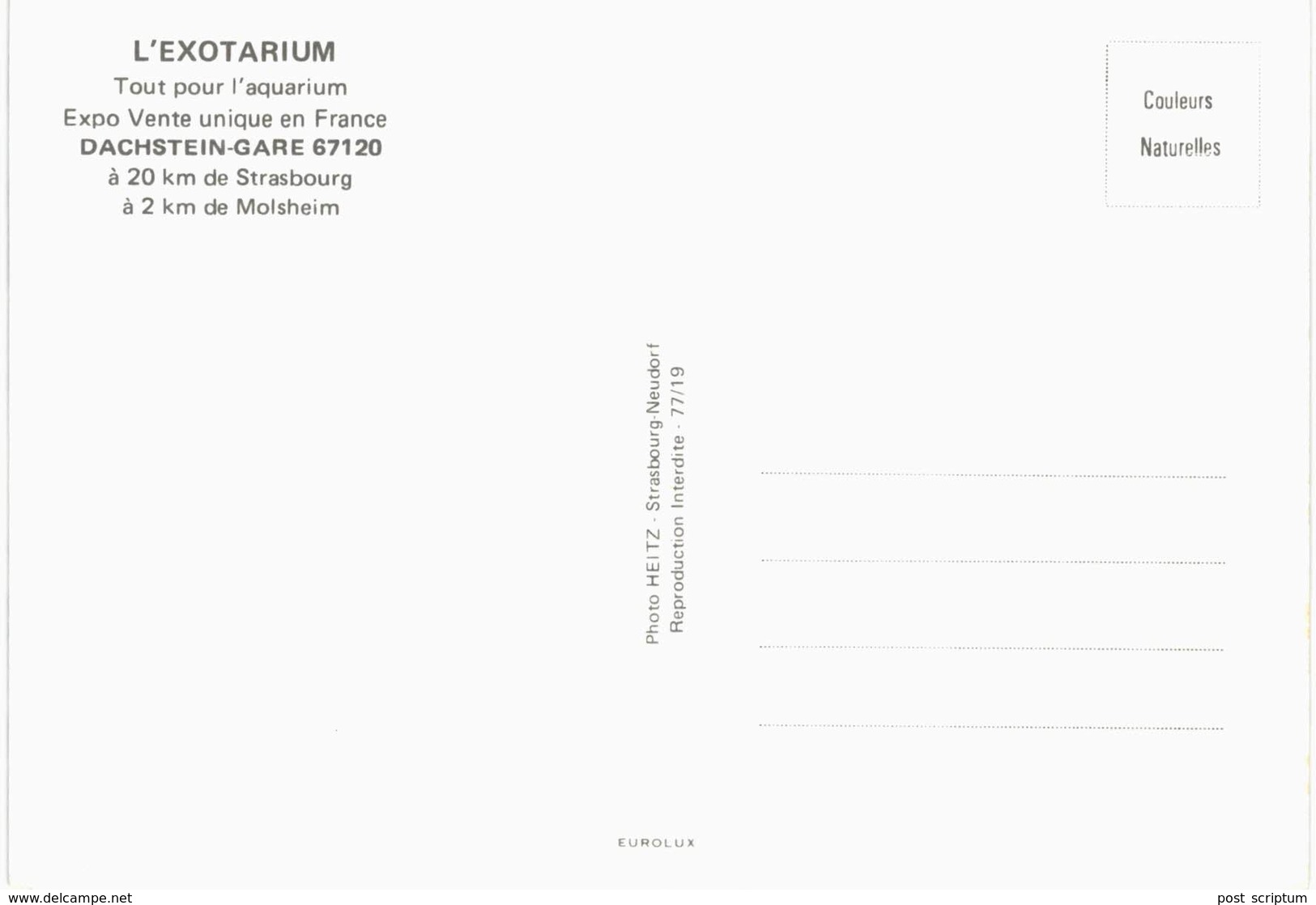 Dachstein Gare L'exotarium - Tout Pour L'aquarium - Autres & Non Classés