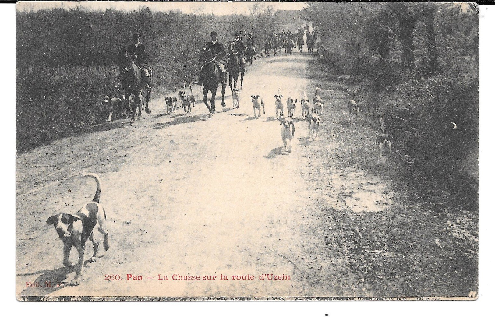 Cpa Pau - La Chasse Sur La Route D'Uzein . - Pau