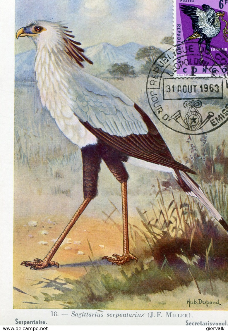 CONGO KINSHASA 1963 MAX.CARD With SECRETARY BIRD.BARGAIN.!! - Aquile & Rapaci Diurni