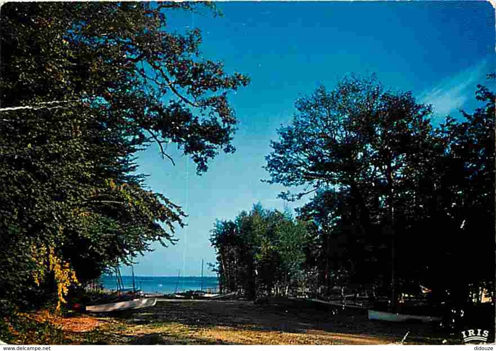 52 - Le Lac Du Grand Der - Eclaron - Etang Du Der - Voir Scans Recto-Verso - Autres & Non Classés