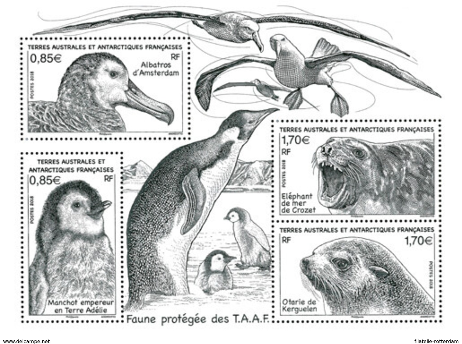 TAAF - Postfris / MNH - Sheet Beschermde Dieren 2018 - Ongebruikt