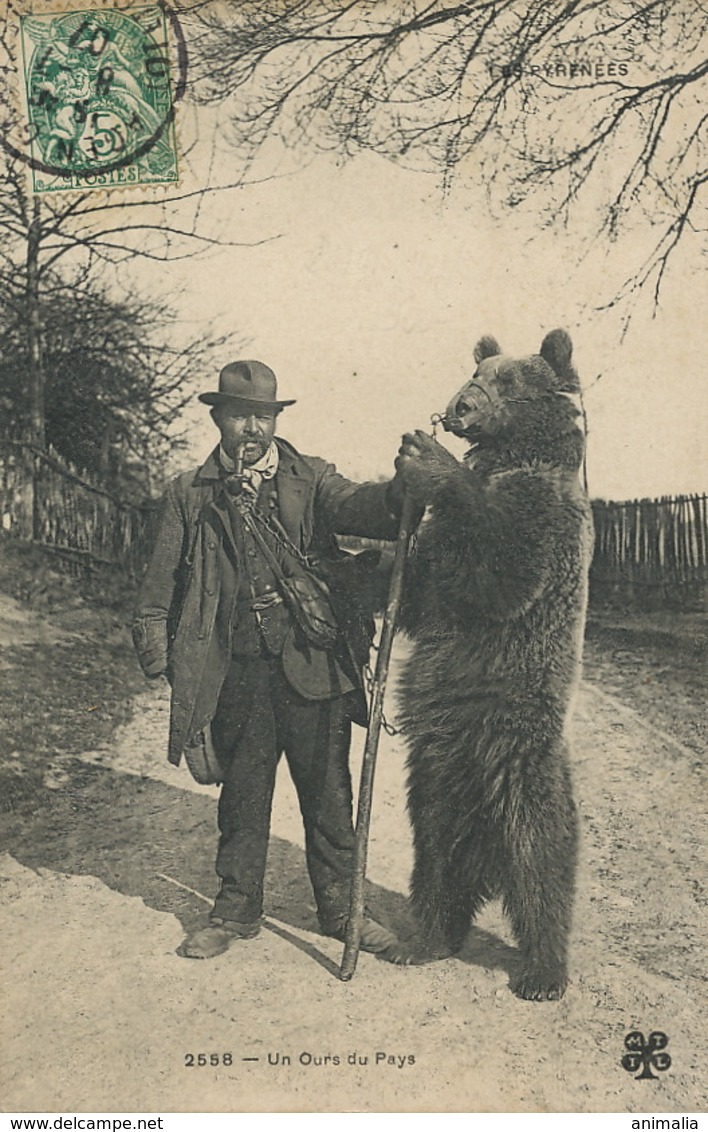 Montreur Ours . Bear Tamer . Tzigane. Gypsie . Rom. - Europe