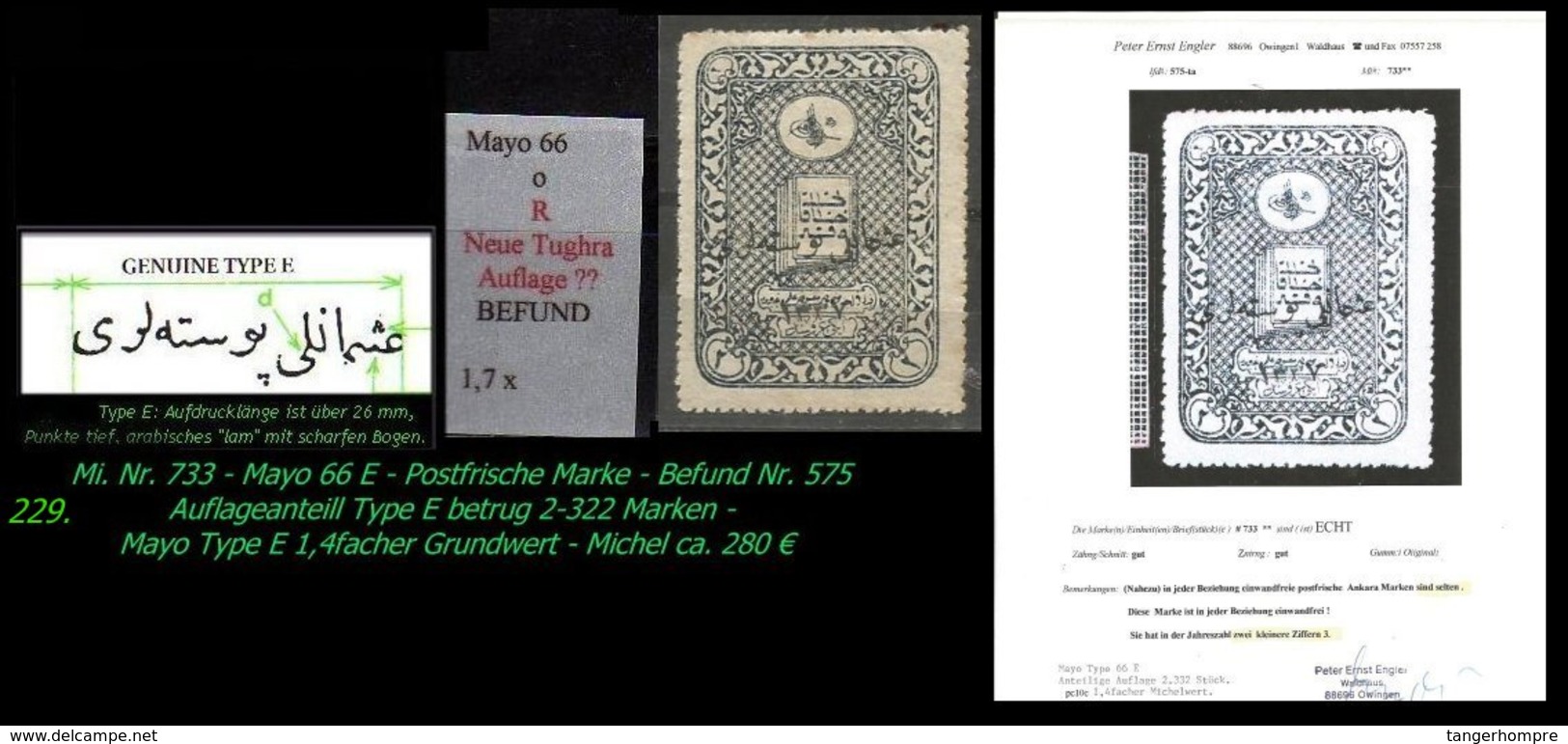 EARLY OTTOMAN SPECIALIZED FOR SPECIALIST, SEE...Mi. Nr. 733 - Mayo 66 E - Auflagenanteil 2.322 Stück - 1920-21 Anatolia