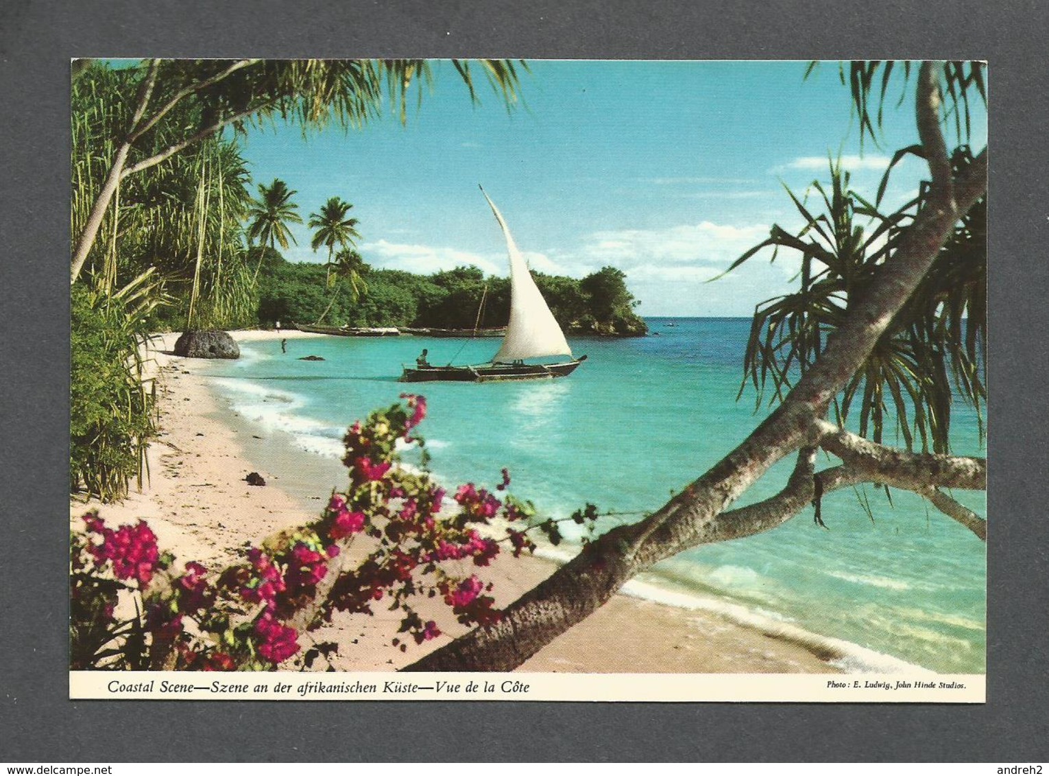 TANZANIE - AFRICA - AFRIQUE - VUE DE LA CÔTE - PHOTO E. LUDWIG BY JOHN HINDE STUDIO - Non Classés