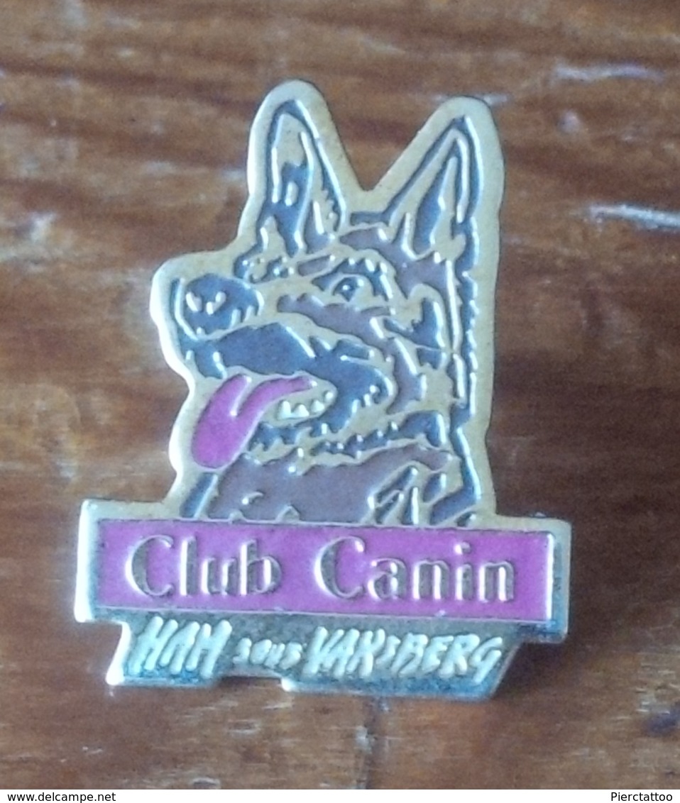 Club Canin De Ham-sous-Varsberg "Berger Allemand" (Chien) - Animaux