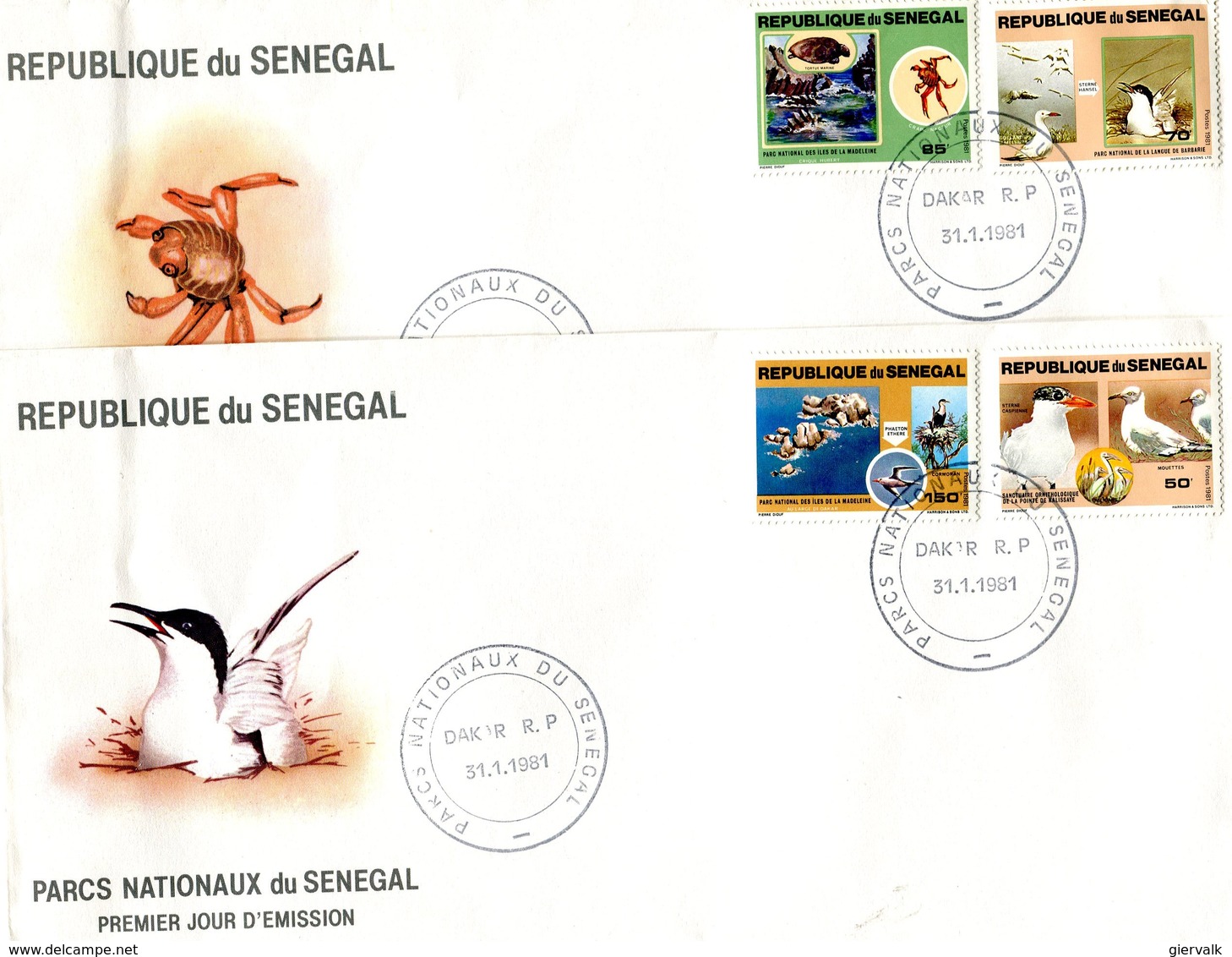 SENEGAL 1981 FDC With BIRDS.BARGAIN.!! - Meeuwen