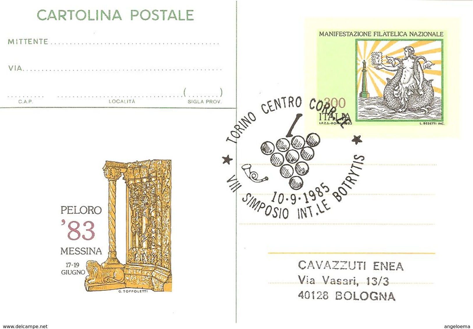 ITALIA - 1985 TORINO VIII Simposio BOTRYTIS Muffa Del Vino - Grappolo D'uva Su Cartolina Postale CP Messina '83 - 355 - Vini E Alcolici