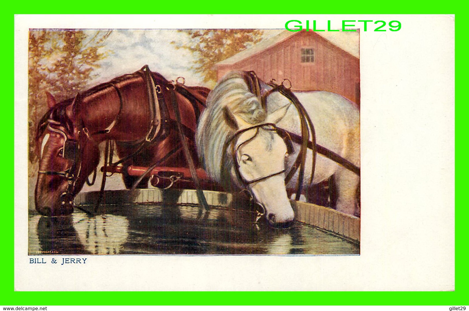 HORSES, CHEVAUX - BILL & JERRY  DRINKING WATER - - Chevaux