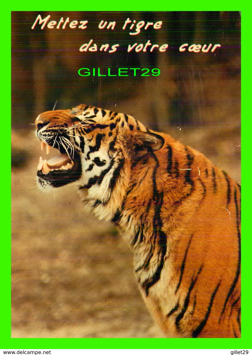 TIGRE - TIGER - METTEZ UN TIGRE DANS VOTRE COEUR - CIRCULÉE EN 1984 - COLLECTION ORION - - Tigres