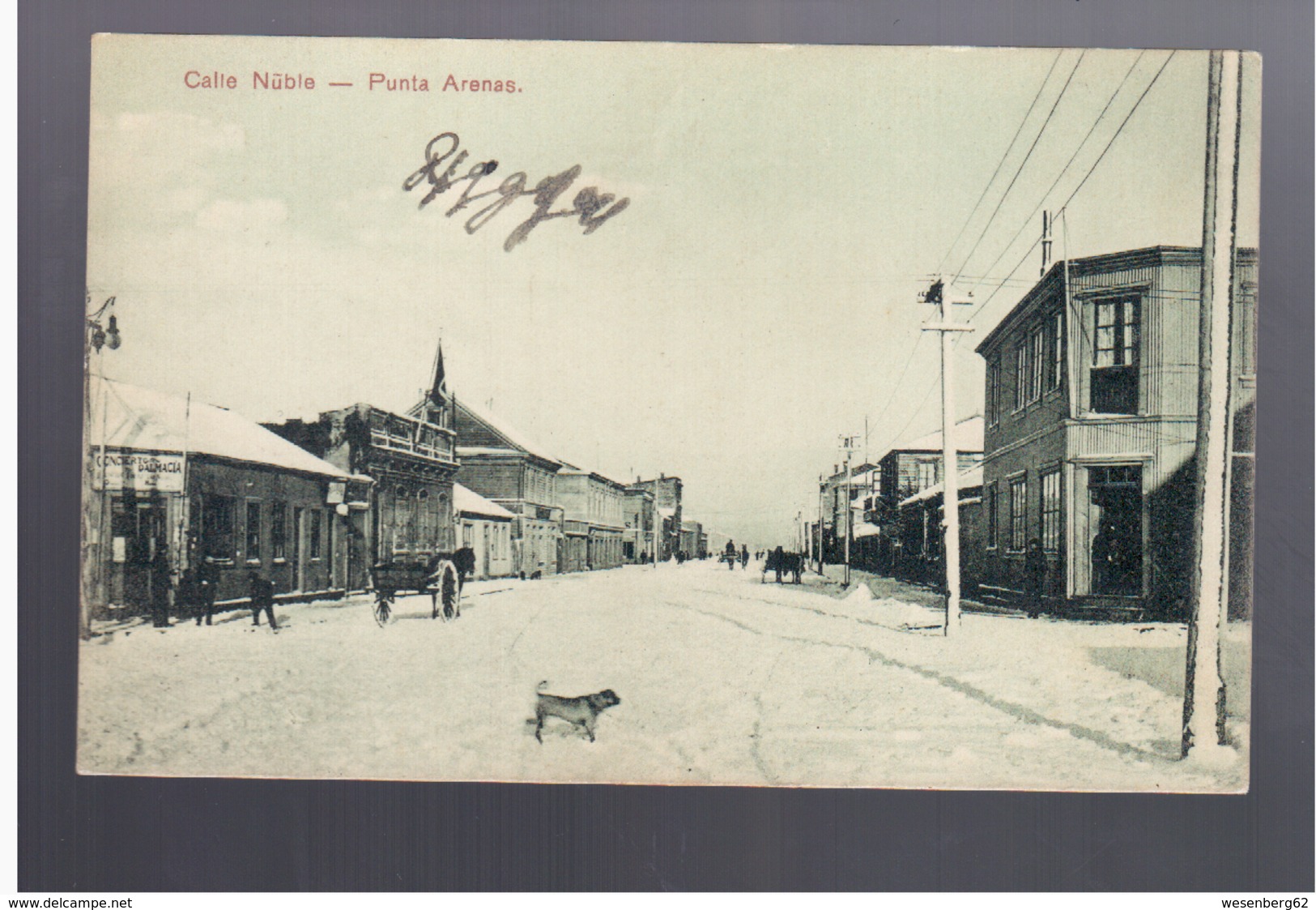 CHILE Punta Arenas Calle Nuble Ca  1910  OLD POSTCARD - Cile