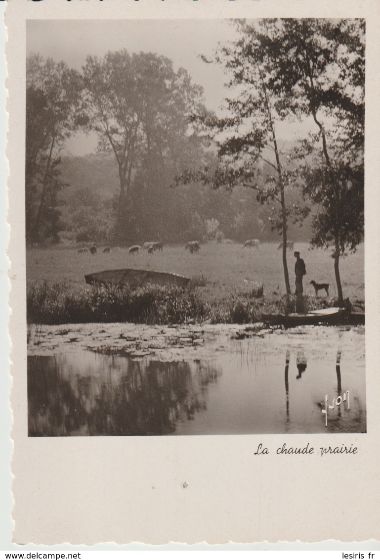 C. P. -  PHOTO - LA DOUCE FRANCE - NEMOURS - LA CHAUDE PRAIRIE  - 39 - YVON - - Nemours