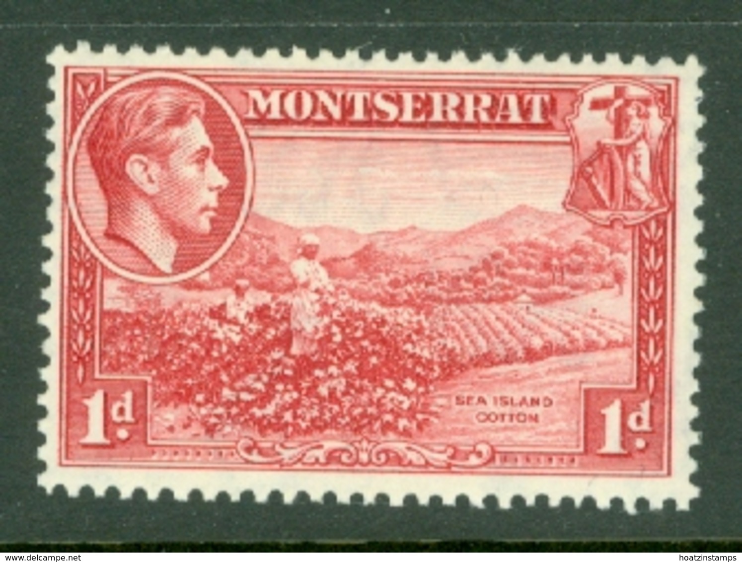 Montserrat: 1938/48   KGVI   SG102    1d  [Perf: 13]    MH - Montserrat
