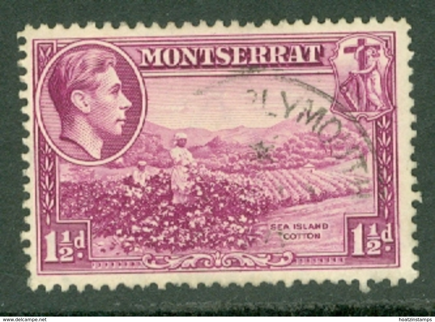 Montserrat: 1938/48   KGVI   SG103    1½d  [Perf: 13]    Used - Montserrat