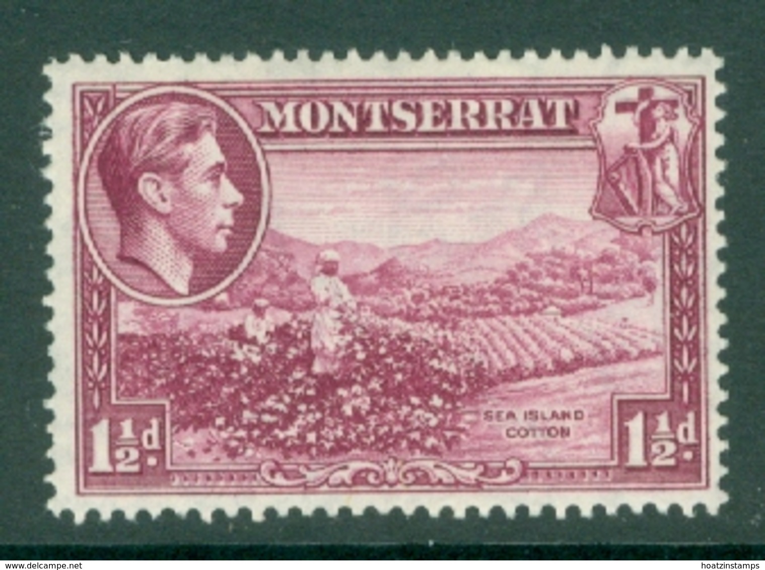 Montserrat: 1938/48   KGVI   SG103a    1½d  [Perf: 14]    MH - Montserrat