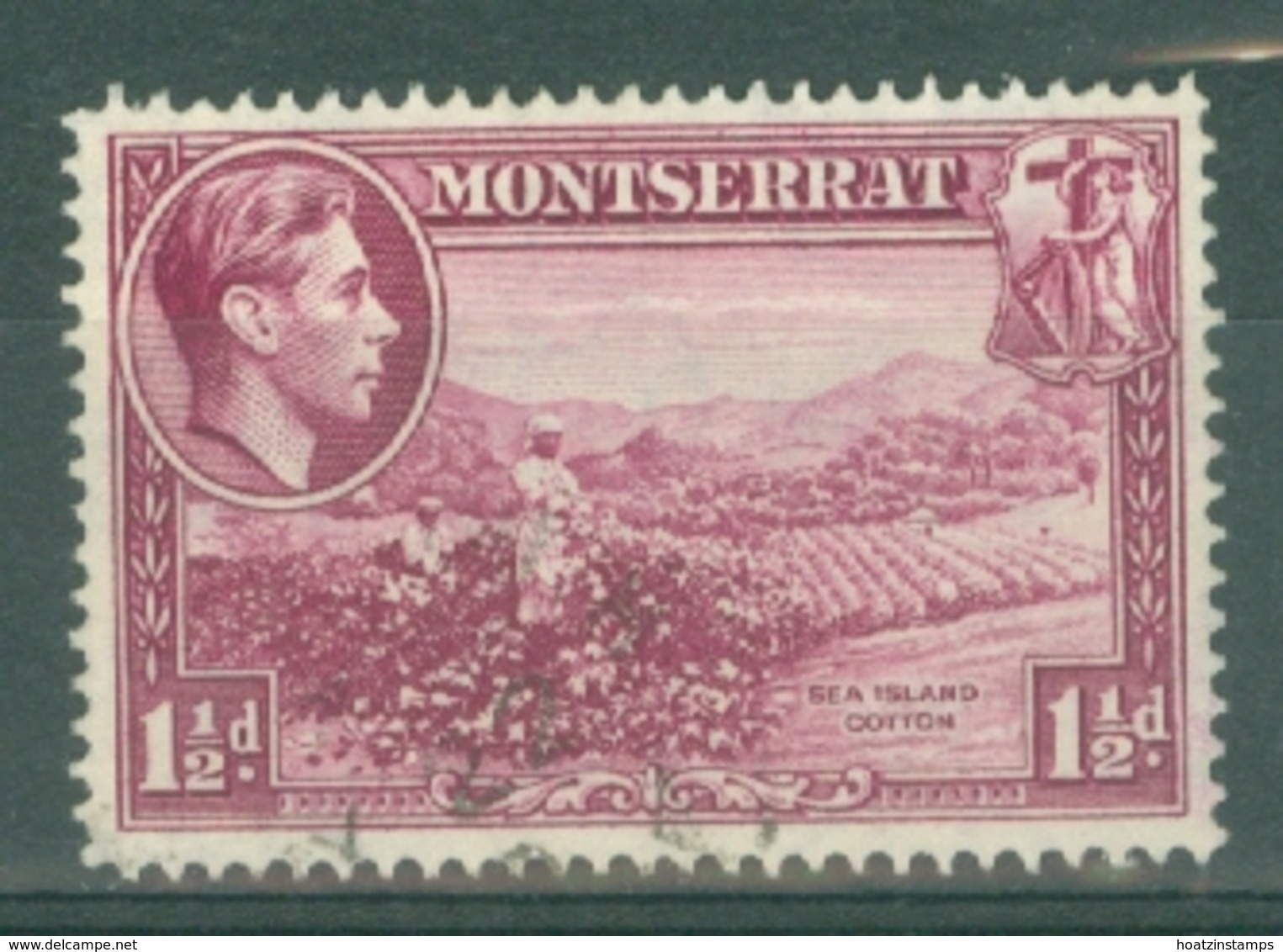 Montserrat: 1938/48   KGVI   SG103a    1½d  [Perf: 14]    Used - Montserrat