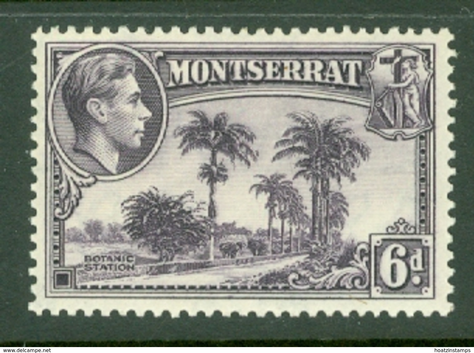 Montserrat: 1938/48   KGVI   SG107    6d  [Perf: 13]    MH - Montserrat