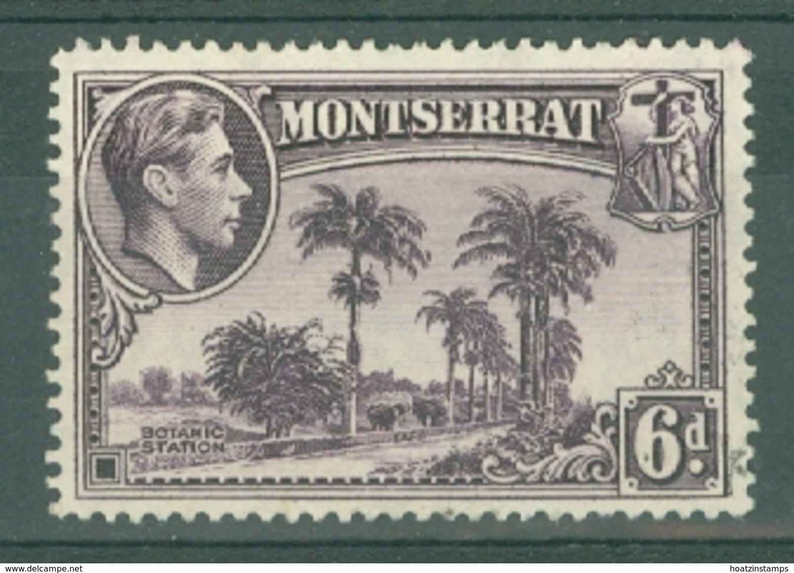 Montserrat: 1938/48   KGVI   SG107a    6d  [Perf: 14]    Used - Montserrat