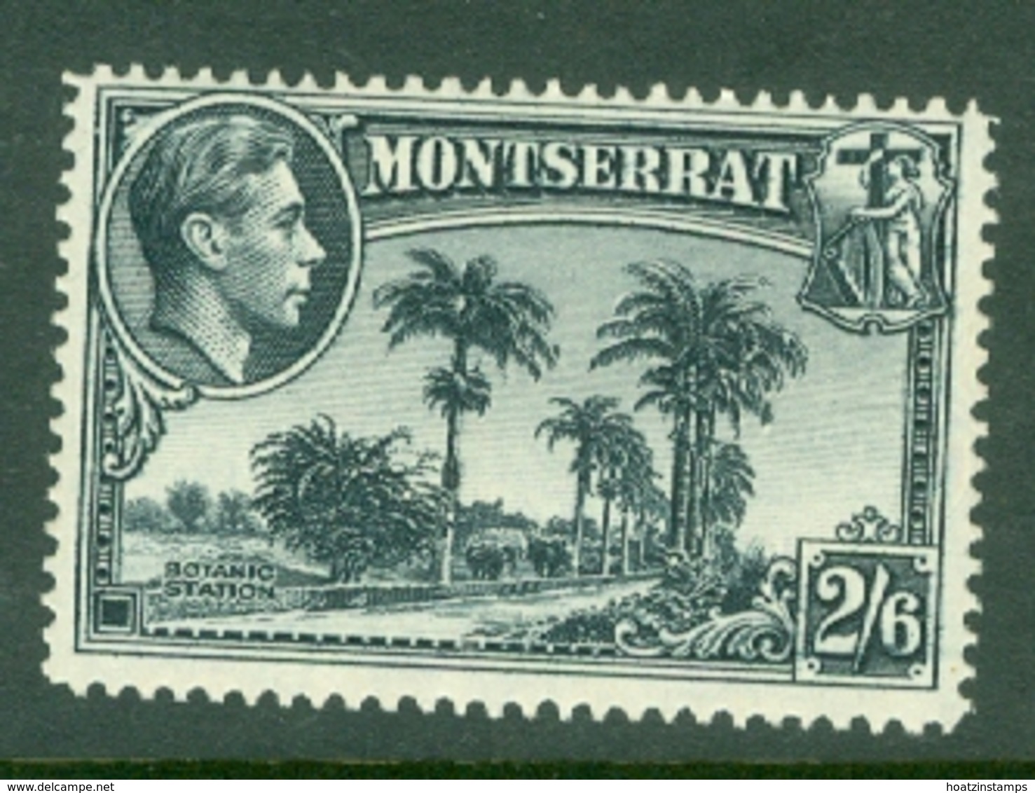 Montserrat: 1938/48   KGVI   SG109    2/6d  [Perf: 13]    MH - Montserrat