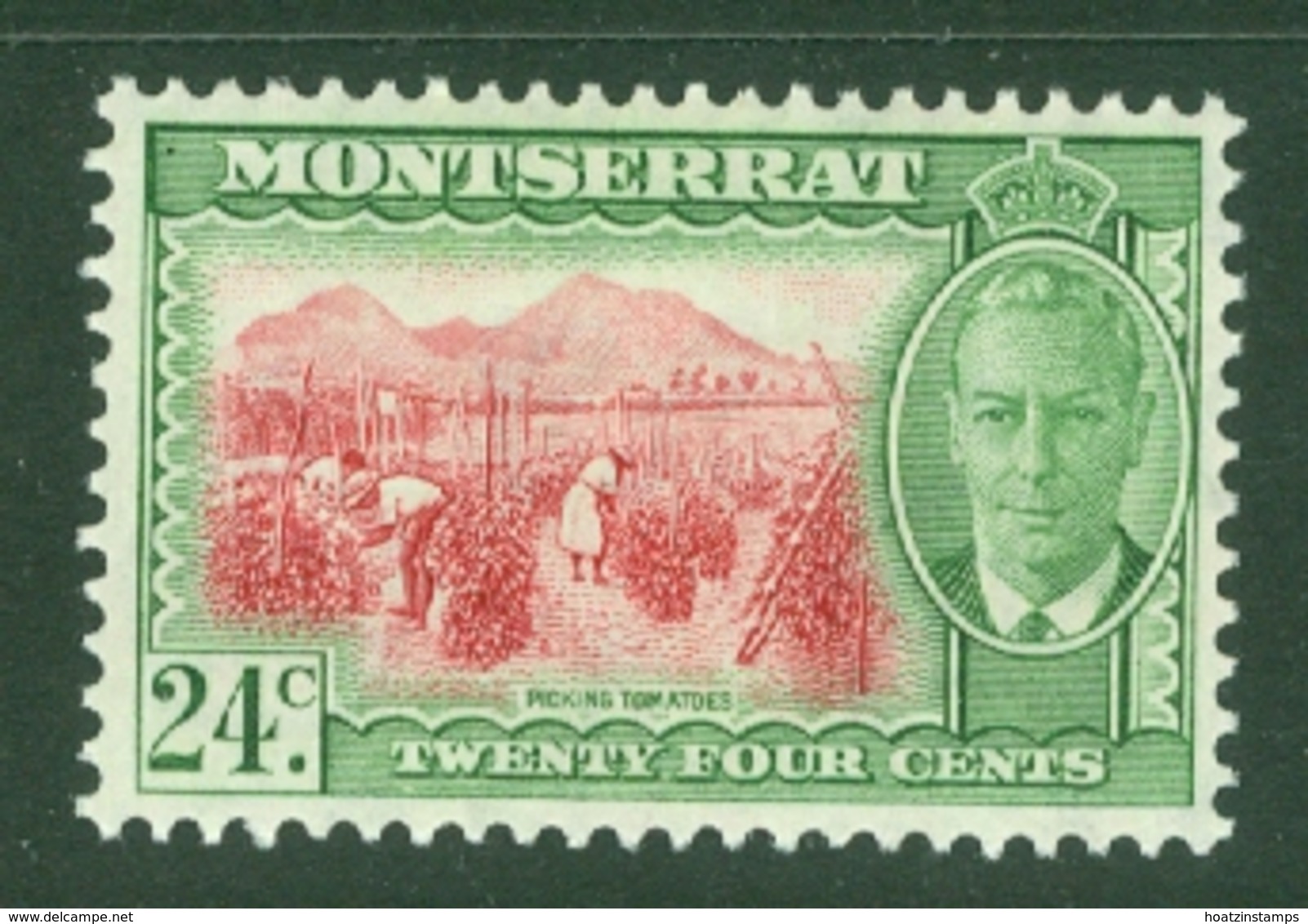 Montserrat: 1951   KGVI   SG131    24c    MH - Montserrat