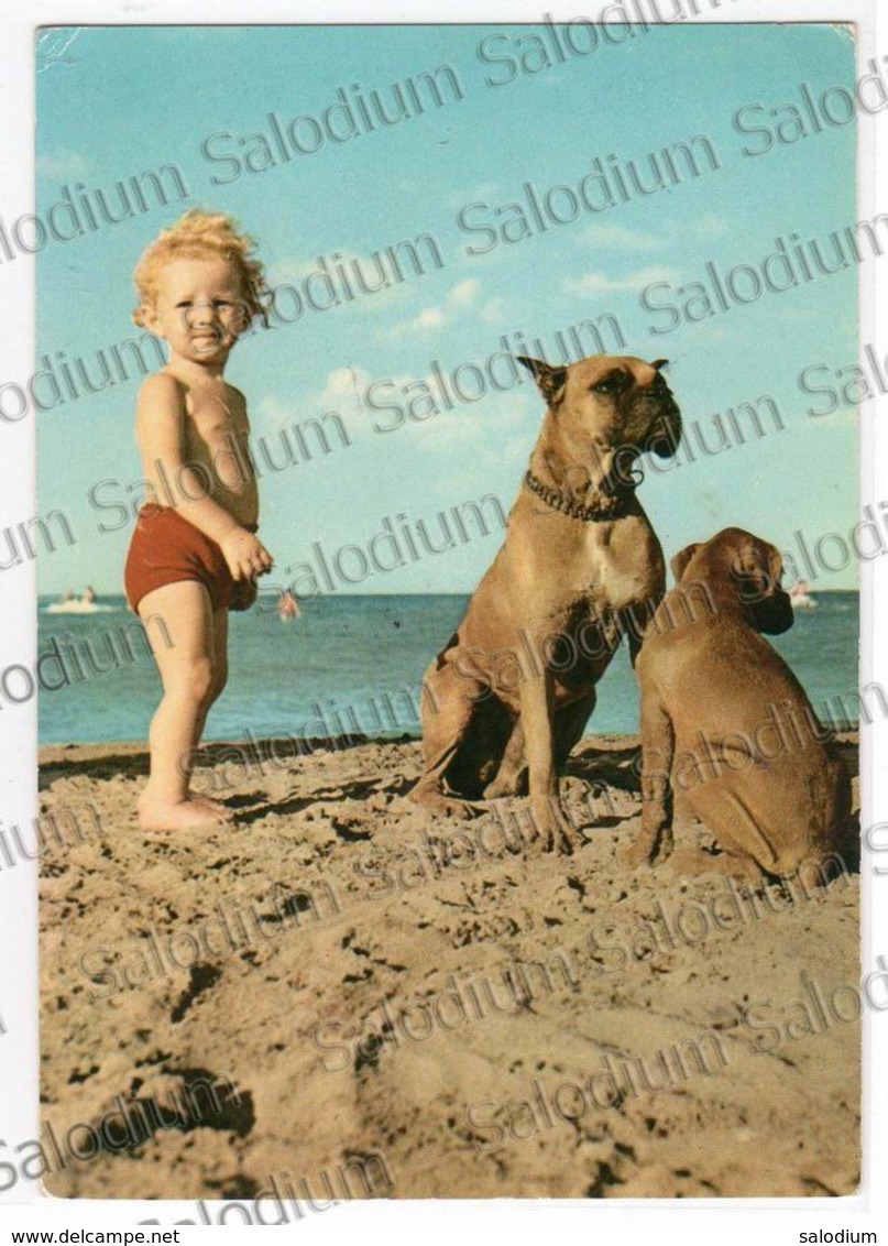 Bambino Baby Cane Dog Annullo A Targhetta Storia Postale - Altri & Non Classificati