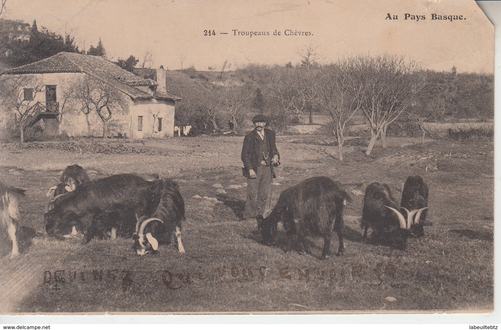 PAYS BASQUE - Troupeau De Chèvres ( ETAT )   PRIX FIXE - Autres & Non Classés