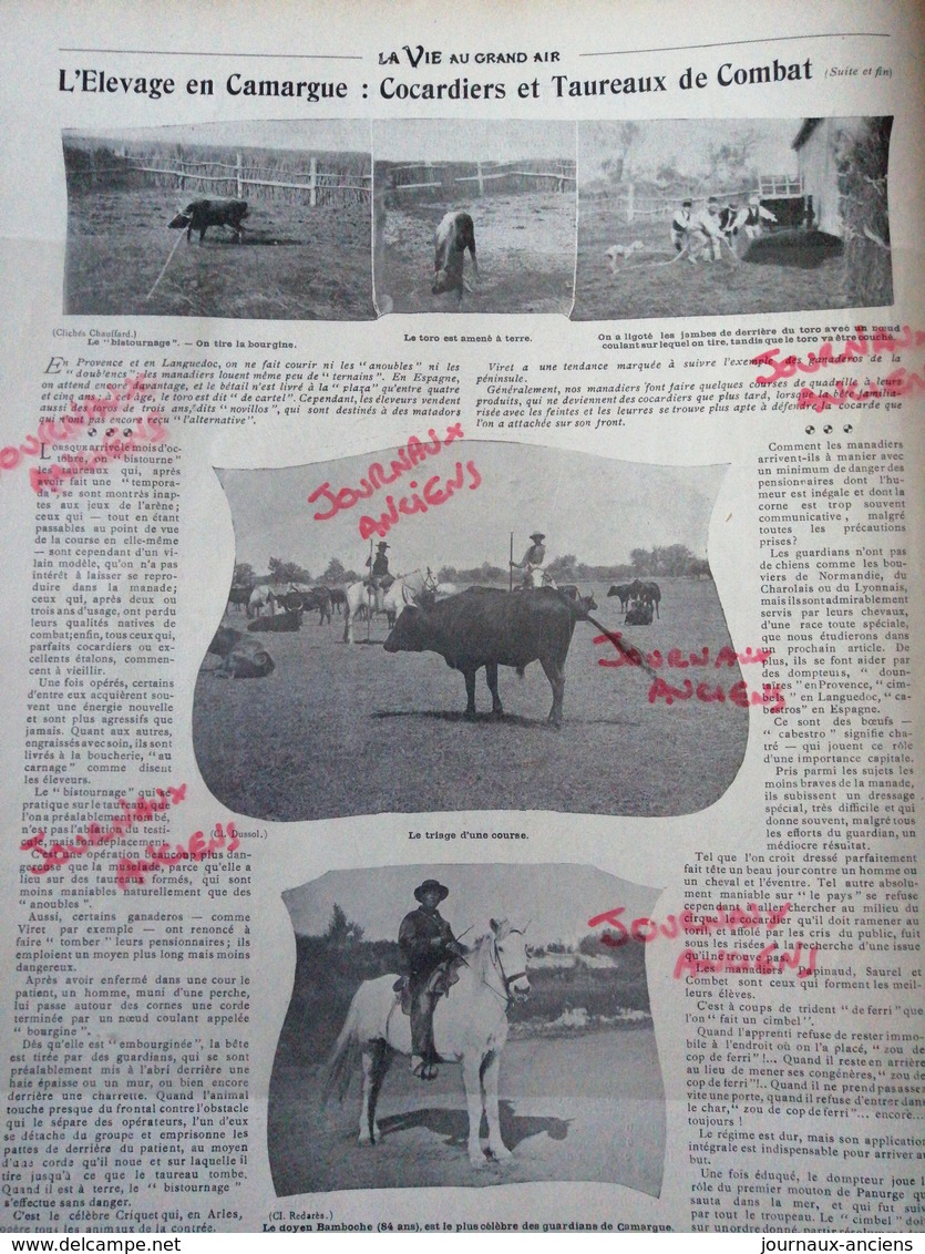 1904 L'ÉLEVAGE EN CAMARGUE - COCARDIERS ET TAUREAUX DE COMBAT - Autres & Non Classés