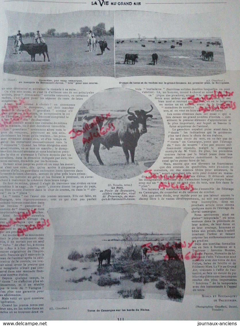 1904 L'ÉLEVAGE EN CAMARGUE - COCARDIERS ET TAUREAUX DE COMBAT - Autres & Non Classés