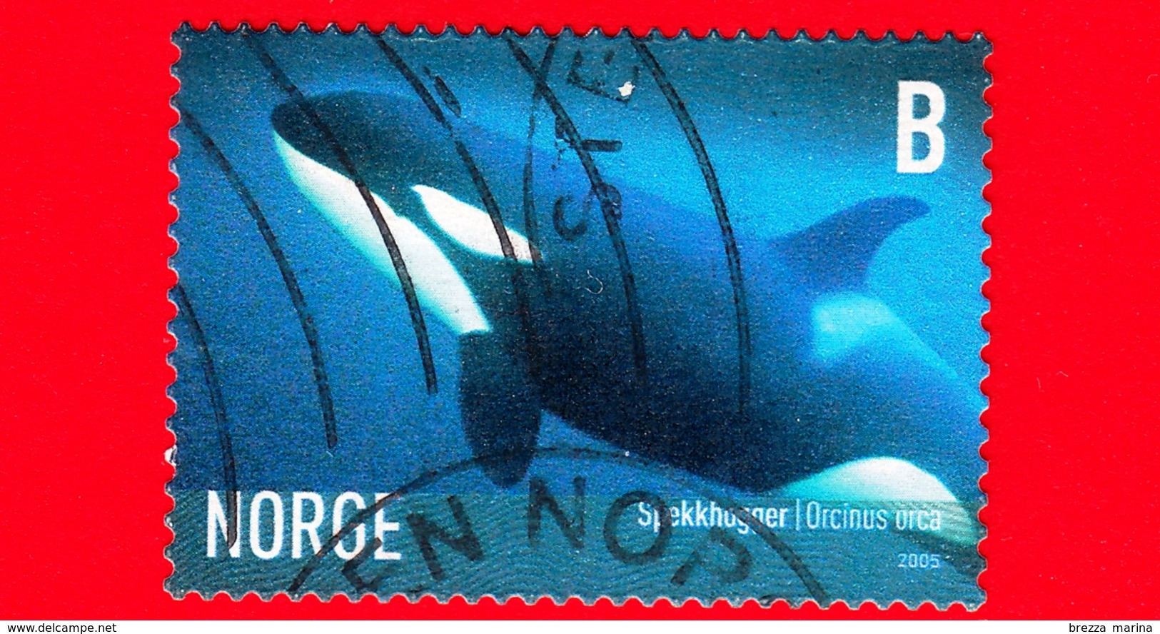 NORVEGIA - Usato - 2005 - Vita Marina - Delfini - Orcinus Orca - B - Usati