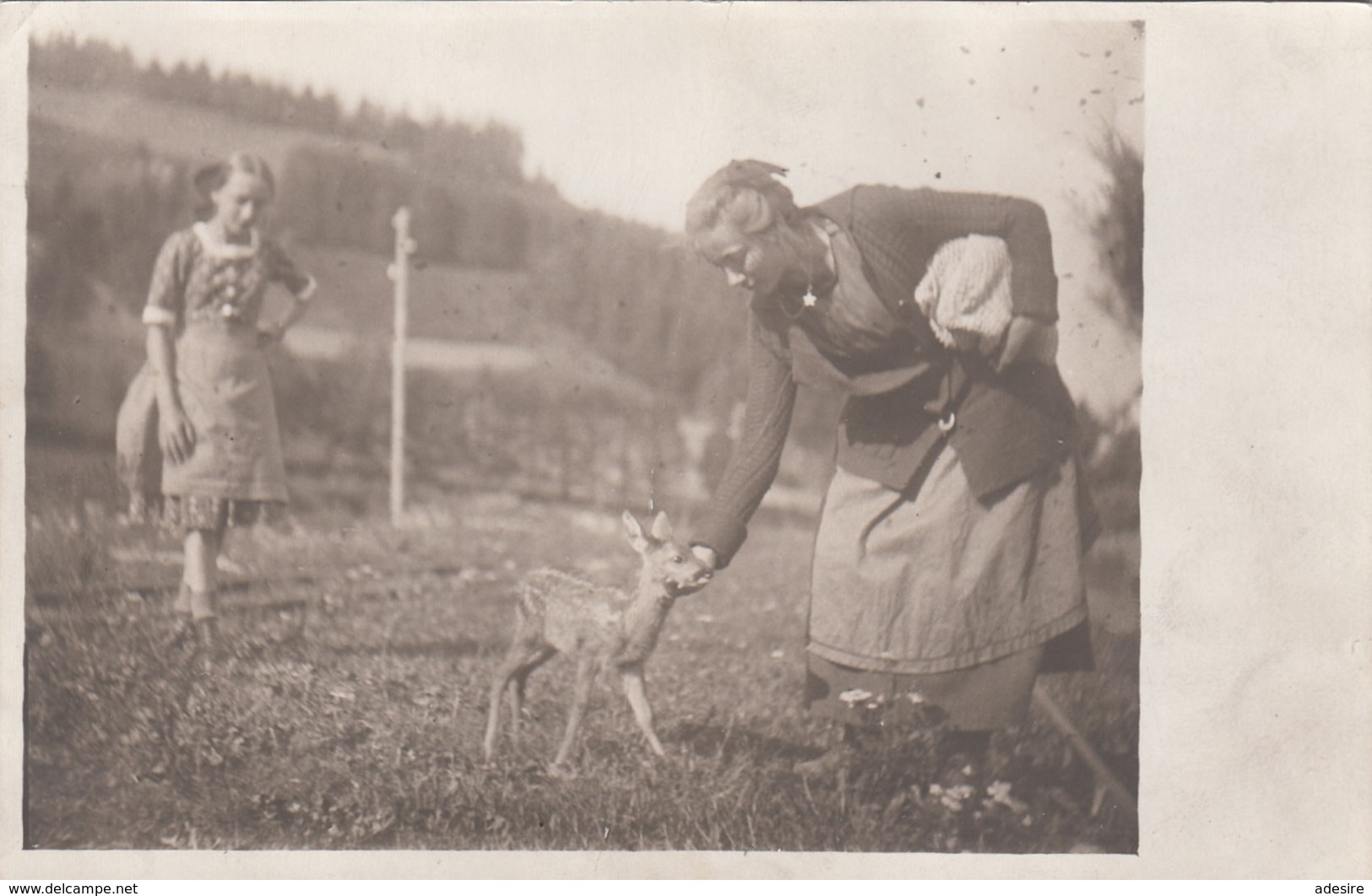 JUNGE FRAU UND MÄDCHEN MIT REHKITZ - Fotokarte Um 1930 - Sonstige & Ohne Zuordnung