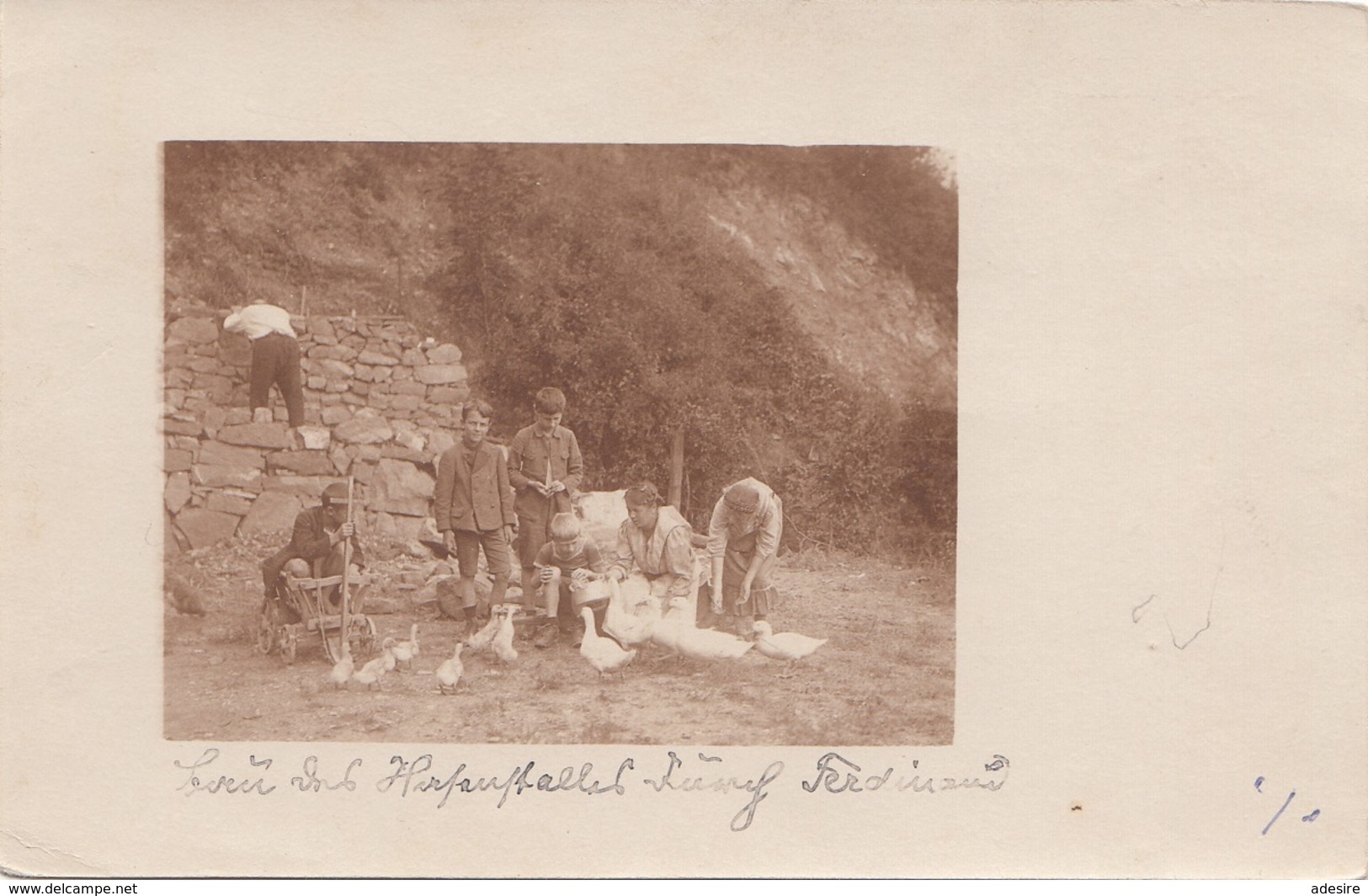 BUBEN Mit Enten, Fotokarte Im 1.Weltkrieg, Im Garten Cobenzlgasse 87 - Szenen & Landschaften