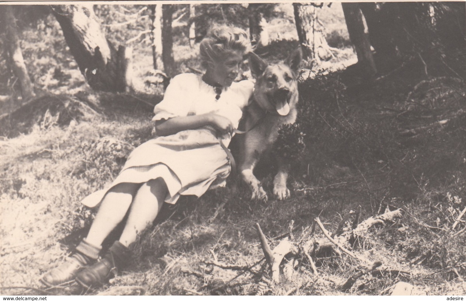 FRAU Mit Hund, Fotokarte Um 1930 - Fotografie