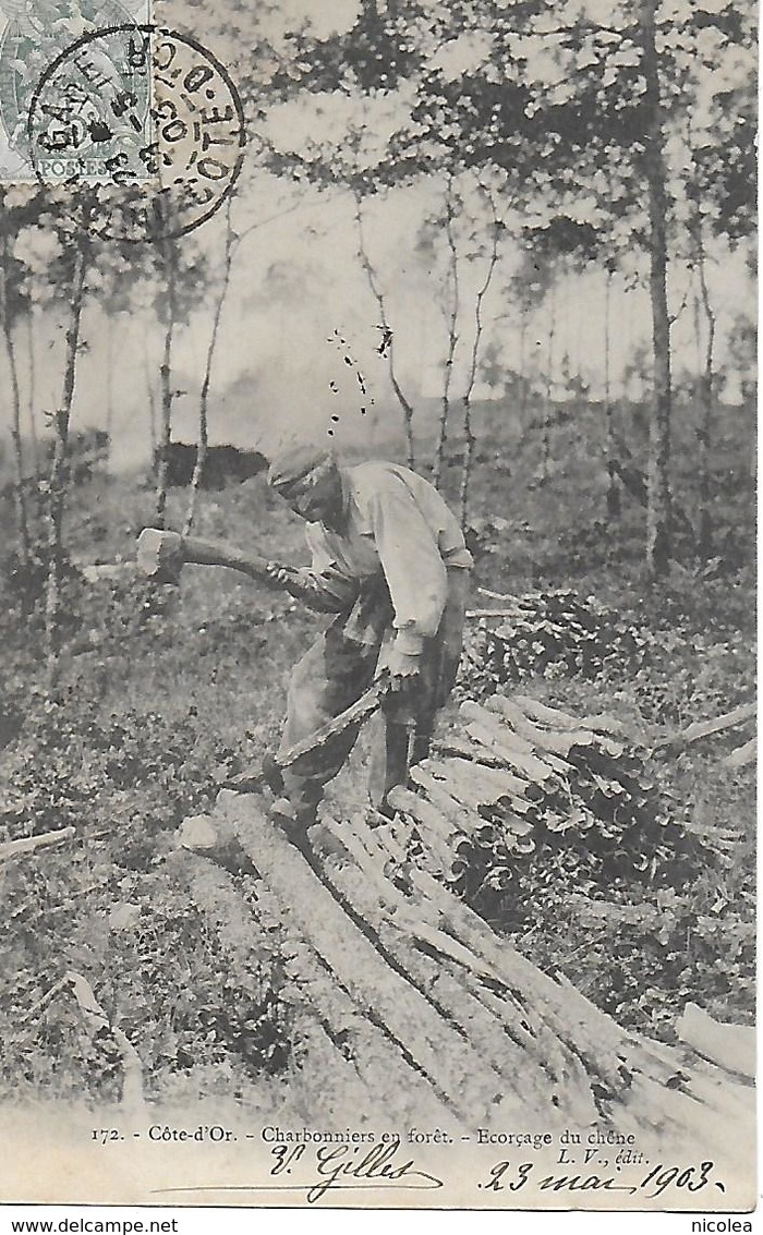 COTE D'OR - DIJON - CHARBONNIERS EN FORET - ECORCAGE DU CHENE - PRECURSEUR POSTEE DE DIJON 1903 2 SCANS - Dijon