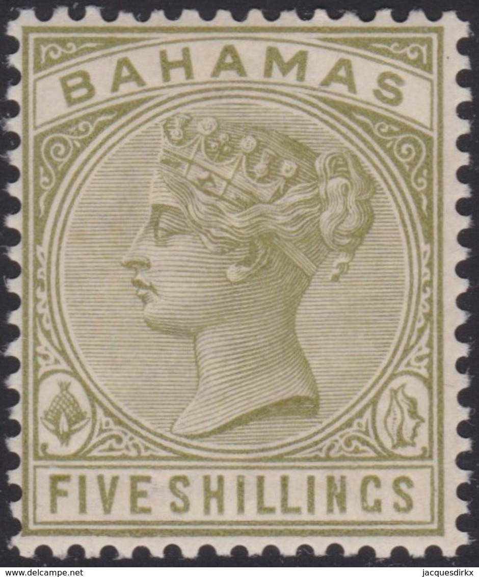 Bahamas     .   SG  .   56  ( 2 Scans )  .    *  .     Mint-hinged    .   /    .   Ongebruikt - 1859-1963 Colonie Britannique