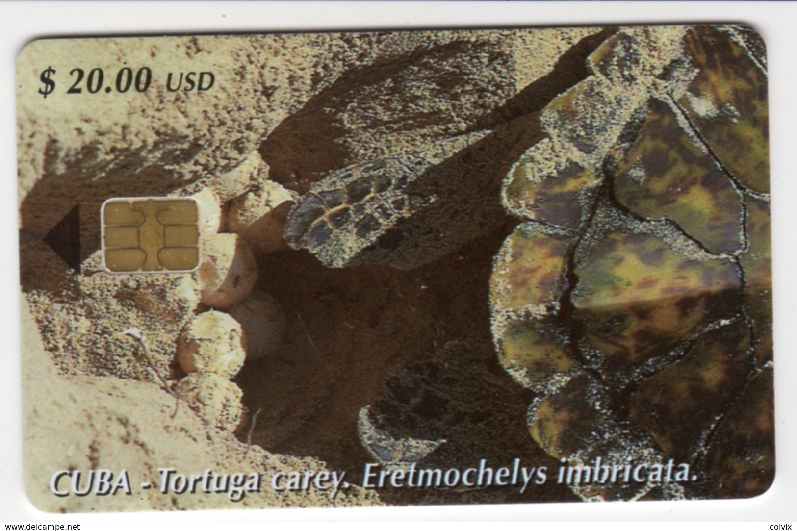 CUBA TORTUE  TORTUGA CAREY 20$ - Tortues