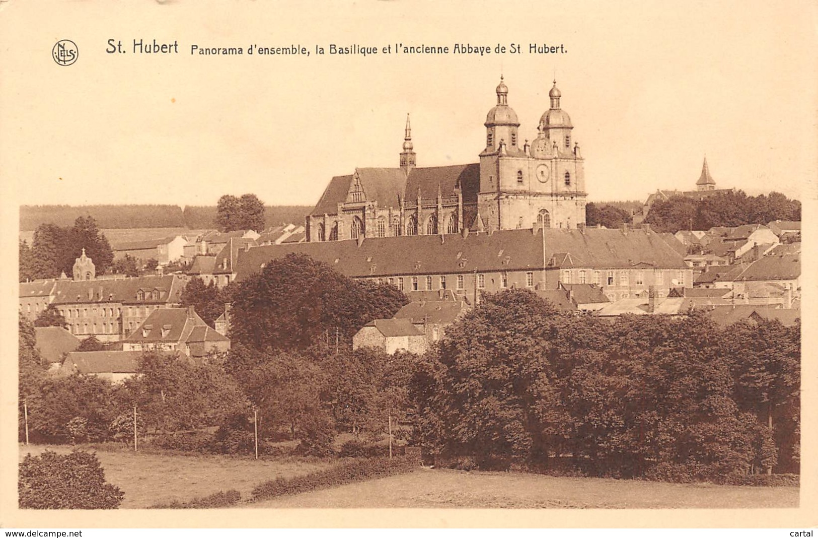 St HUBERT - Panorama D'ensemble, La Basilique Et L'ancienne Abbaye De St. Hubert - Saint-Hubert