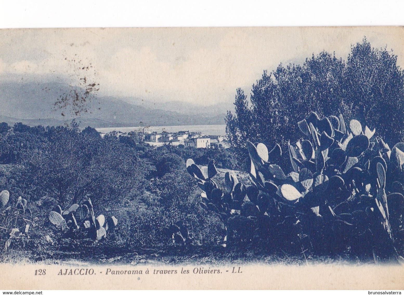 AJACCIO - Panorama à Travers Les Oliviers - Ajaccio